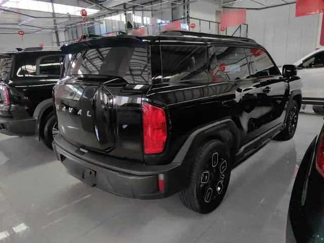 HAVAL X DOG 2022