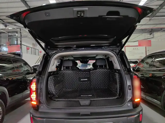HAVAL X DOG 2022