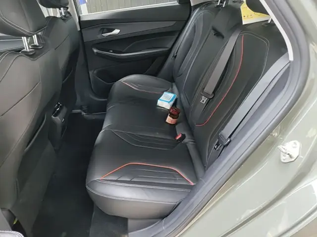 GEELY AUTO BINRAY 2022