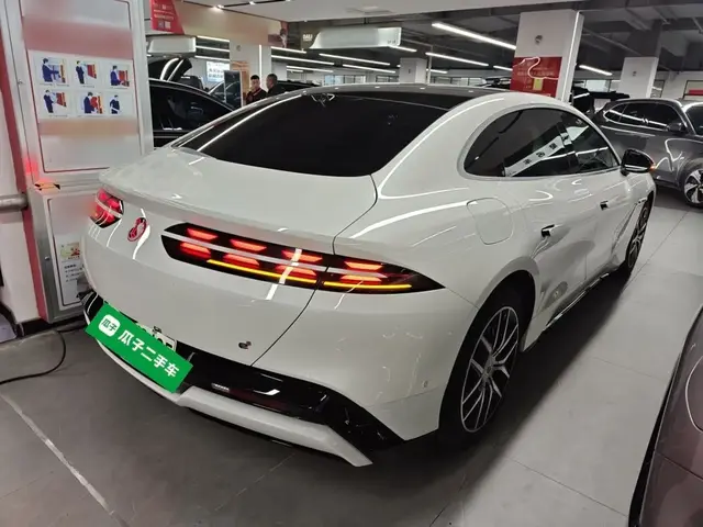 DENZA Z9 2024