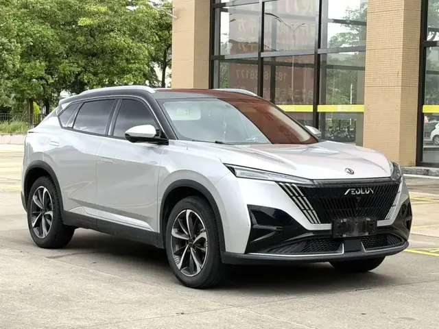 DONGFENG AEOLUS MAGE LUXURY 2023