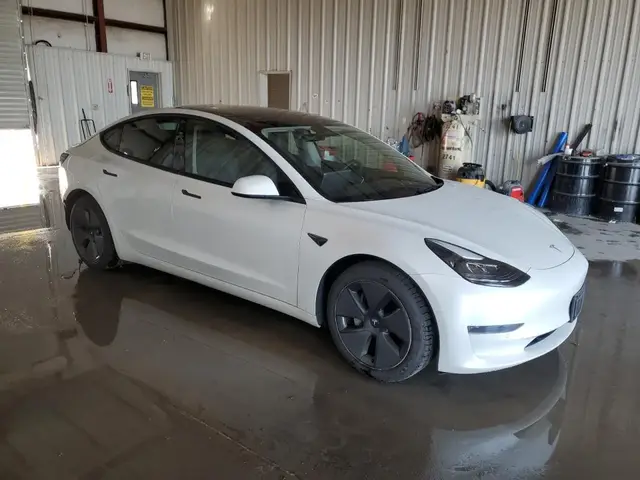 TESLA MODEL 3 2021