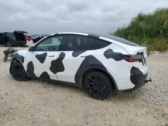 TESLA MODEL Y 2022