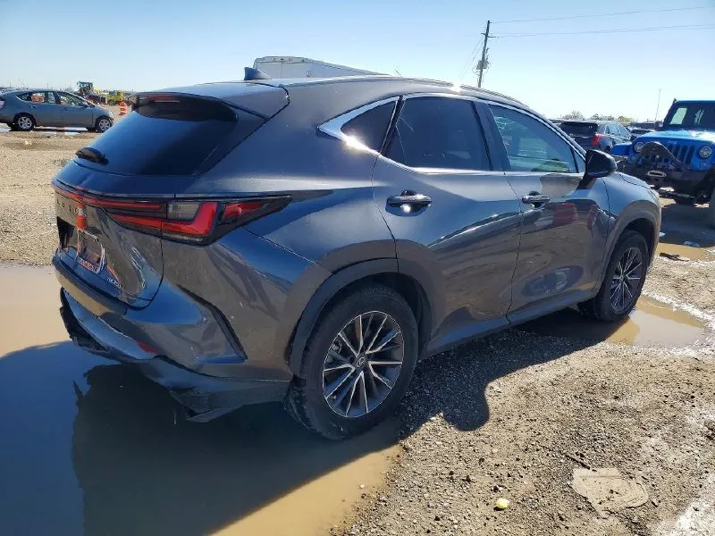 LEXUS NX PREMIUM 2023