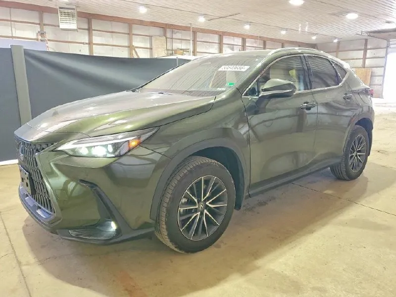 LEXUS NX PREMIUM 2024