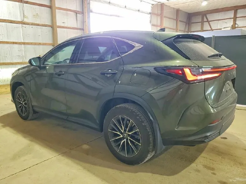 LEXUS NX PREMIUM 2024