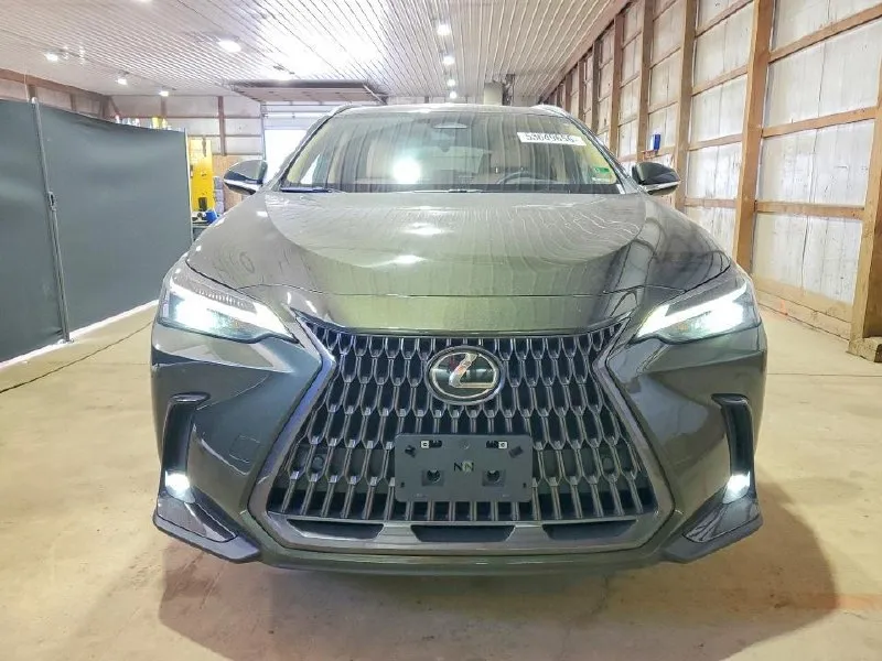 LEXUS NX PREMIUM 2024