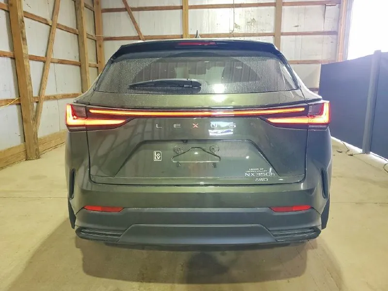 LEXUS NX PREMIUM 2024