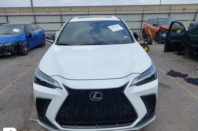 LEXUS NX F SPORT HANDLING 2022