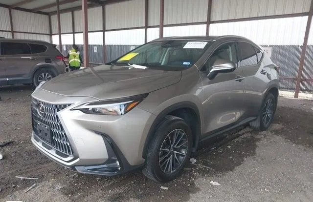 LEXUS NX PREMIUM 2025