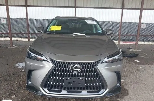 LEXUS NX PREMIUM 2025