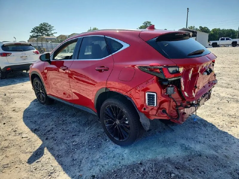 LEXUS NX PREMIUM 2025