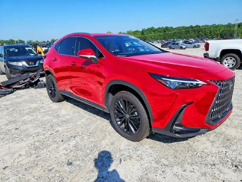 LEXUS NX PREMIUM 2025