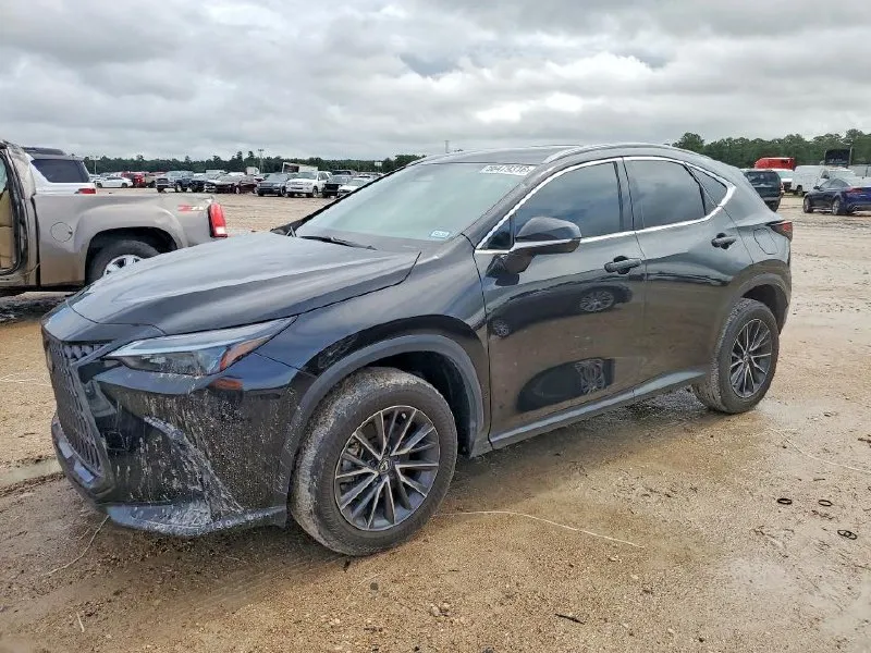 LEXUS NX 2024