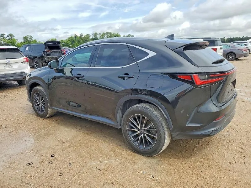 LEXUS NX 2024