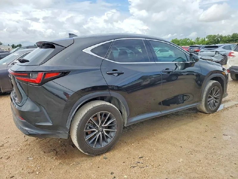LEXUS NX 2024