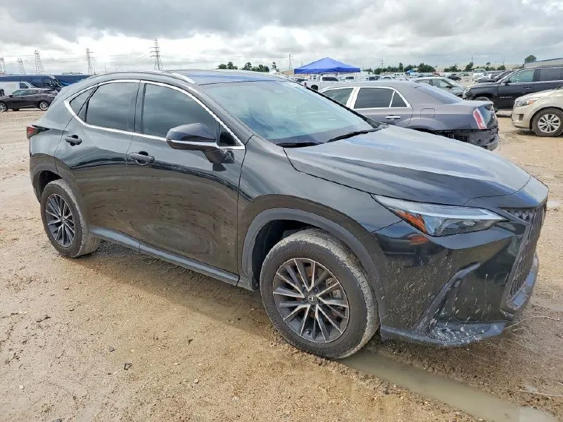 LEXUS NX 2024