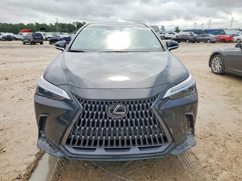 LEXUS NX 2024