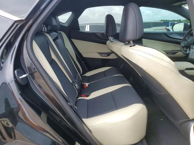 LEXUS NX 2024