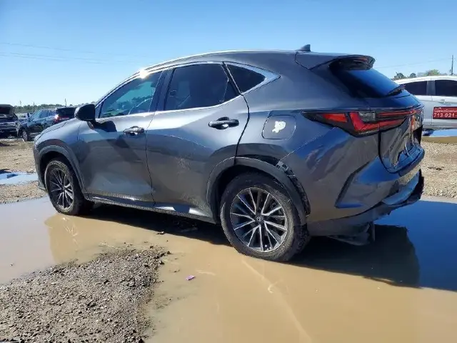 LEXUS NX PREMIUM 2023