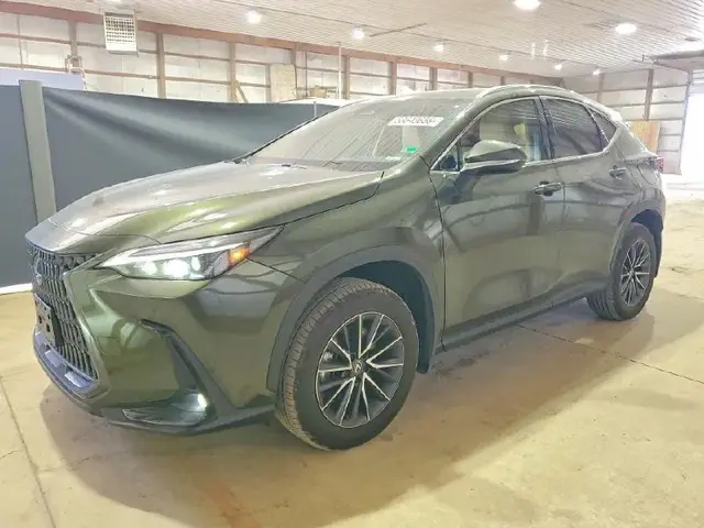 LEXUS NX PREMIUM 2024