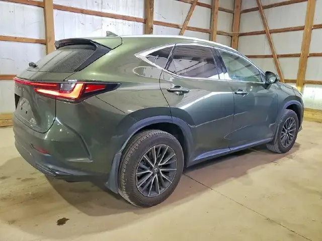 LEXUS NX PREMIUM 2024