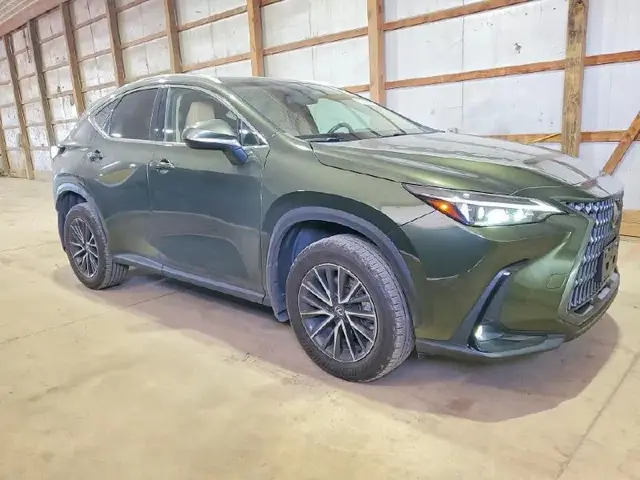 LEXUS NX PREMIUM 2024