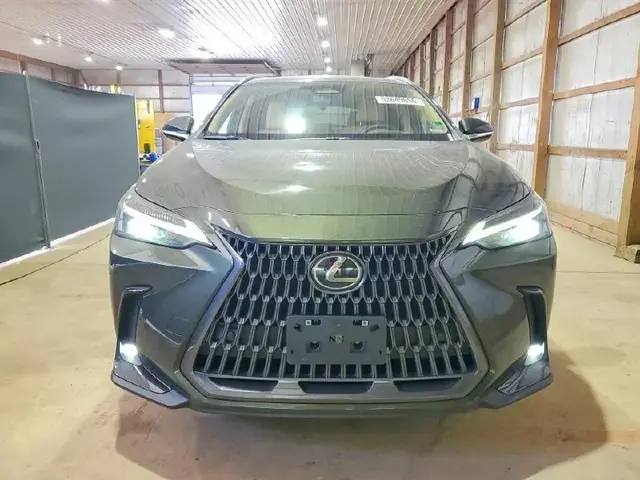 LEXUS NX PREMIUM 2024