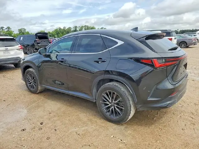LEXUS NX 2024