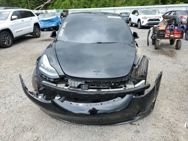 TESLA MODEL 3 2019