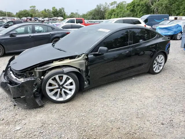 TESLA MODEL 3 2019