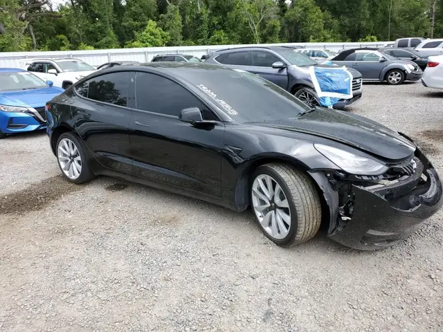 TESLA MODEL 3 2019
