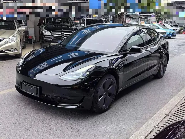 TESLA MODEL 3 2021