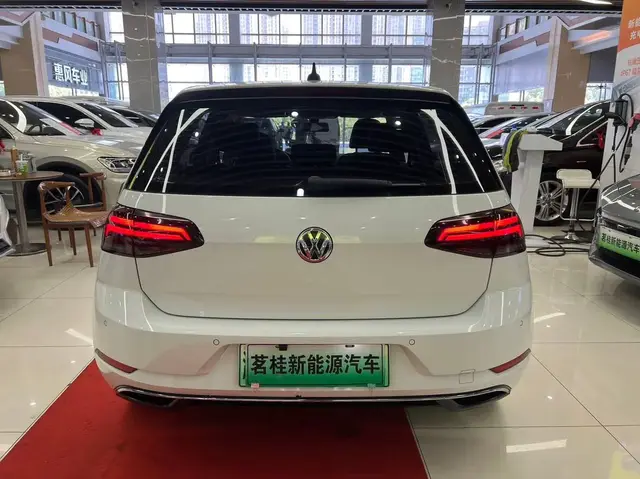 VOLKSWAGEN GOLF EV 2021