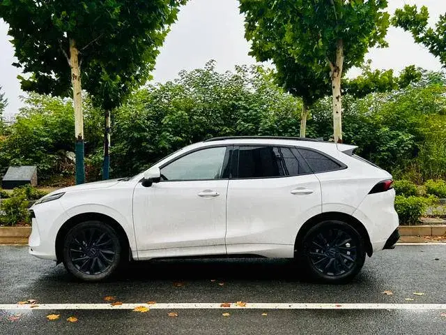 DONGFENG EVO T5 EVO 2021