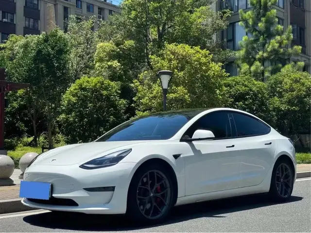 TESLA MODEL 3 PERFOMANCE 2021