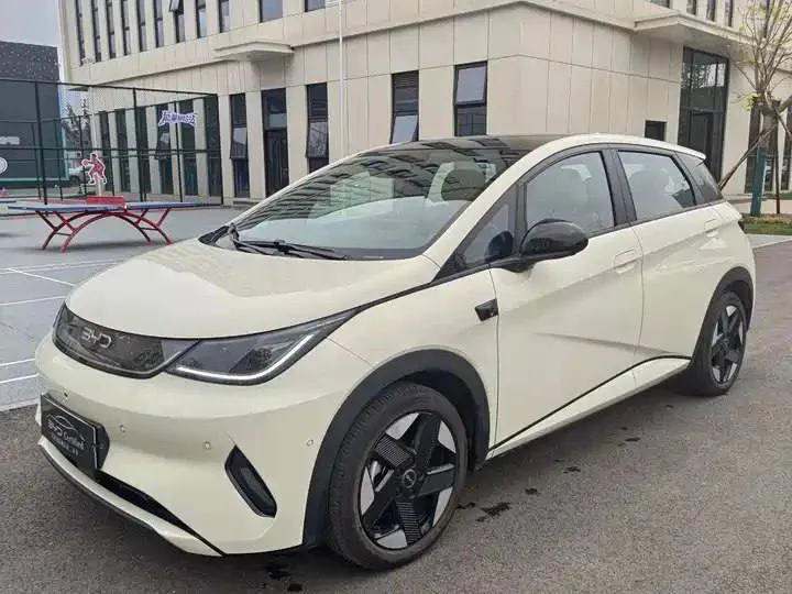 BYD Dolphin DRIVING EDITION KNIGHT EDITION 2025