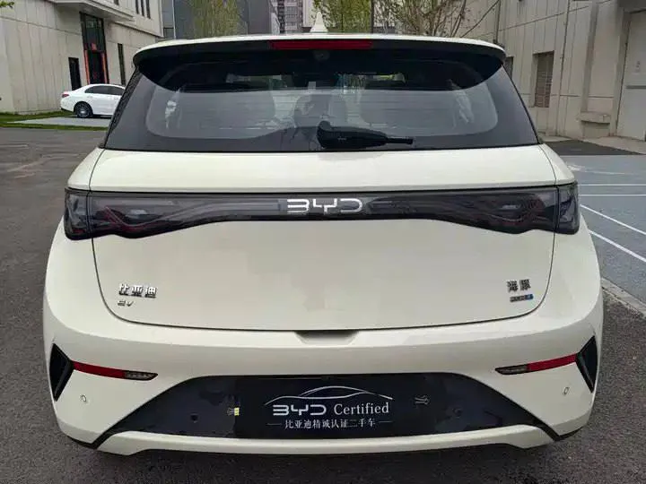 BYD Dolphin DRIVING EDITION KNIGHT EDITION 2025