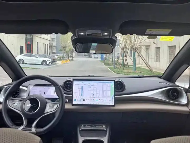 BYD Dolphin DRIVING EDITION KNIGHT EDITION 2025