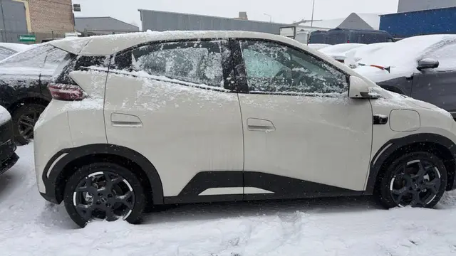 BYD SEAGULL 405KM FLYING EDITION 2025