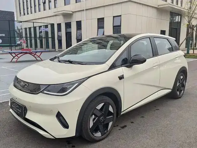 BYD Dolphin DRIVING EDITION KNIGHT EDITION 2025