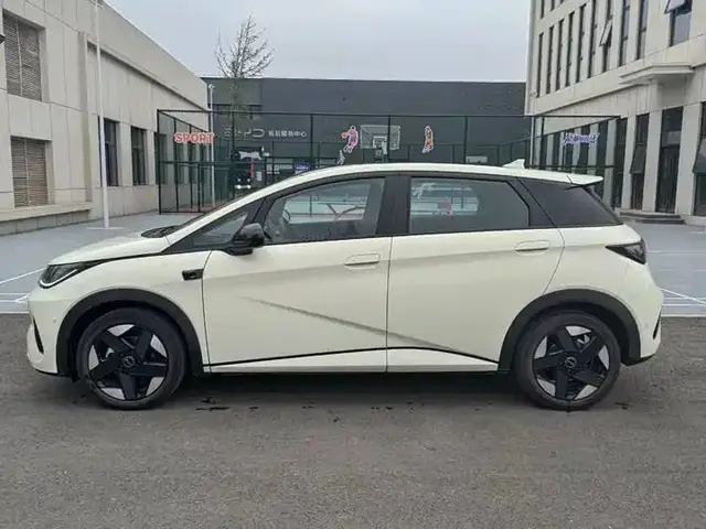 BYD Dolphin DRIVING EDITION KNIGHT EDITION 2025