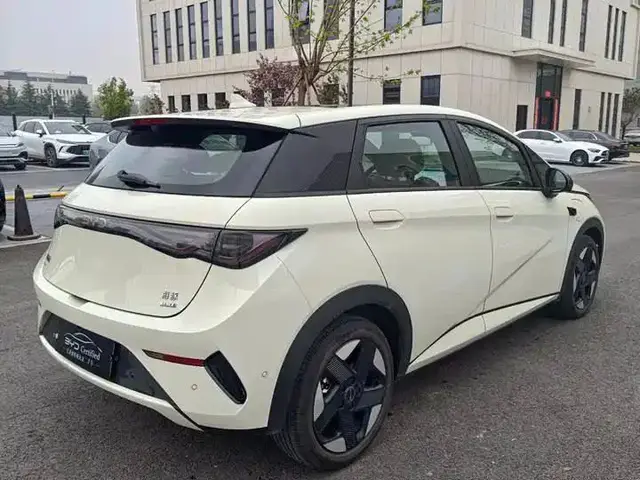 BYD Dolphin DRIVING EDITION KNIGHT EDITION 2025