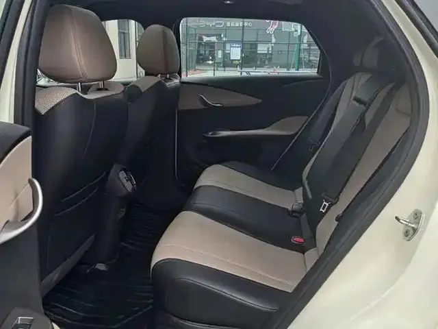 BYD Dolphin DRIVING EDITION KNIGHT EDITION 2025