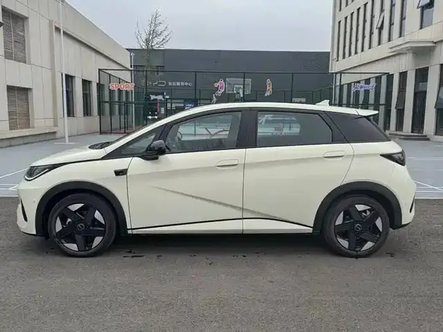 BYD DOLPHIN 520KM SMART DRIVING 2025