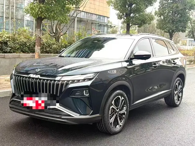 DONGFENG AEOLUS HUGE 2023