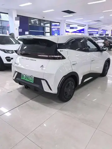 BYD SEAGULL 2024