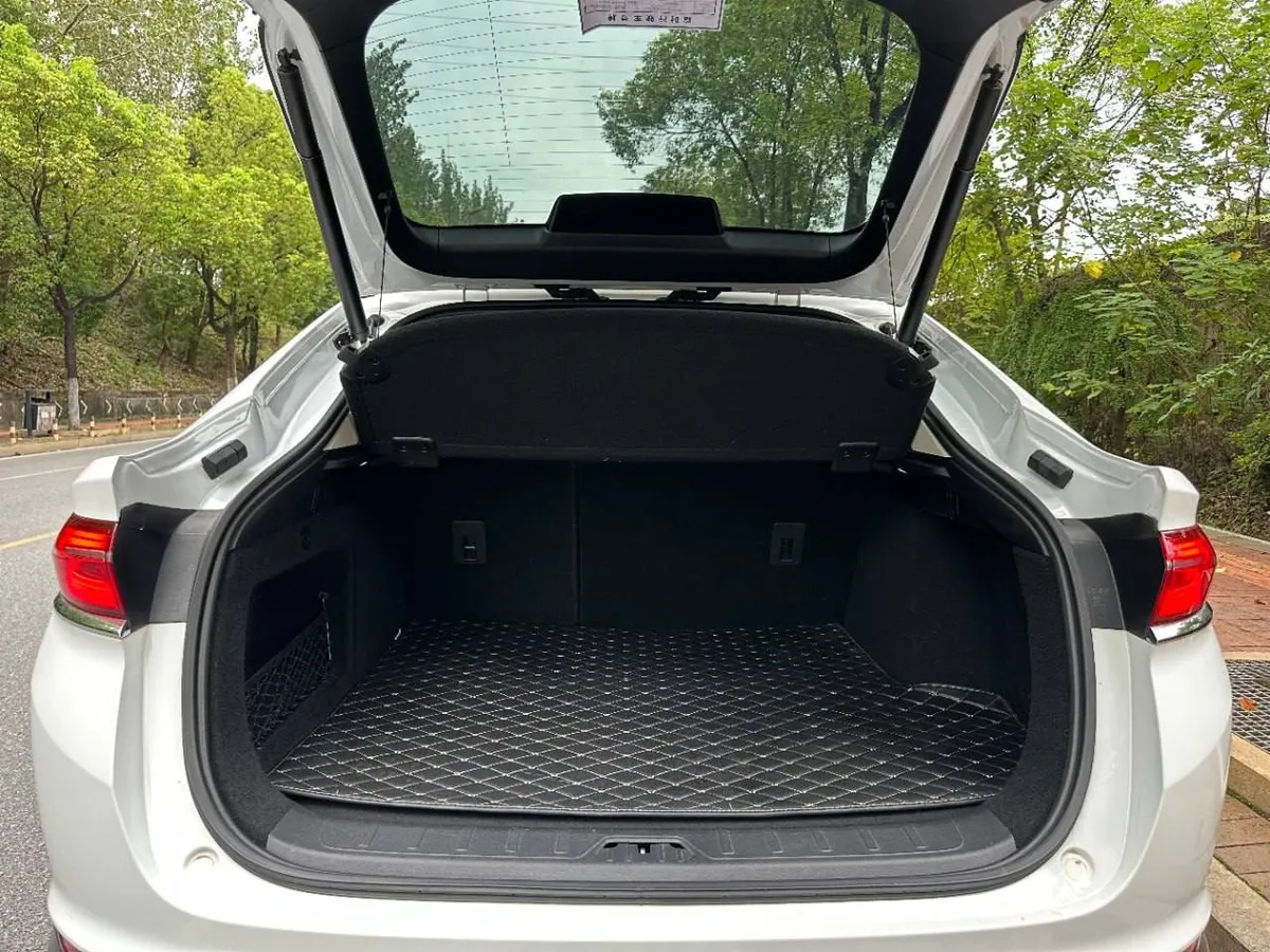 GEELY XINGYUE S 2 2022