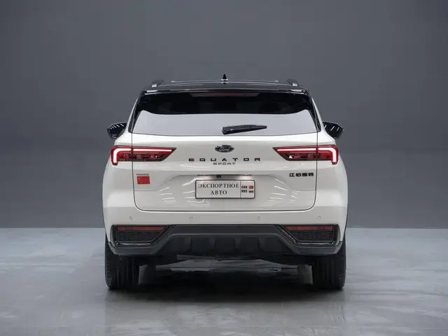 FORD LINGRUI 2022
