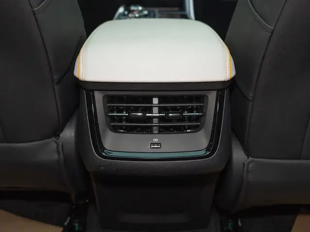 FORD LINGRUI 2022